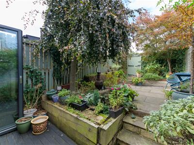 Picture 25
